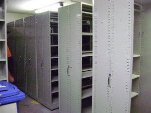 Mobile Shelving Unit (SOLD)